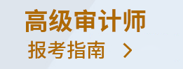 高级审计师考试报名